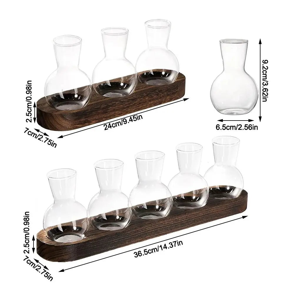 DecorBites™ Hydroponic Glass Vase with Wooden Tray