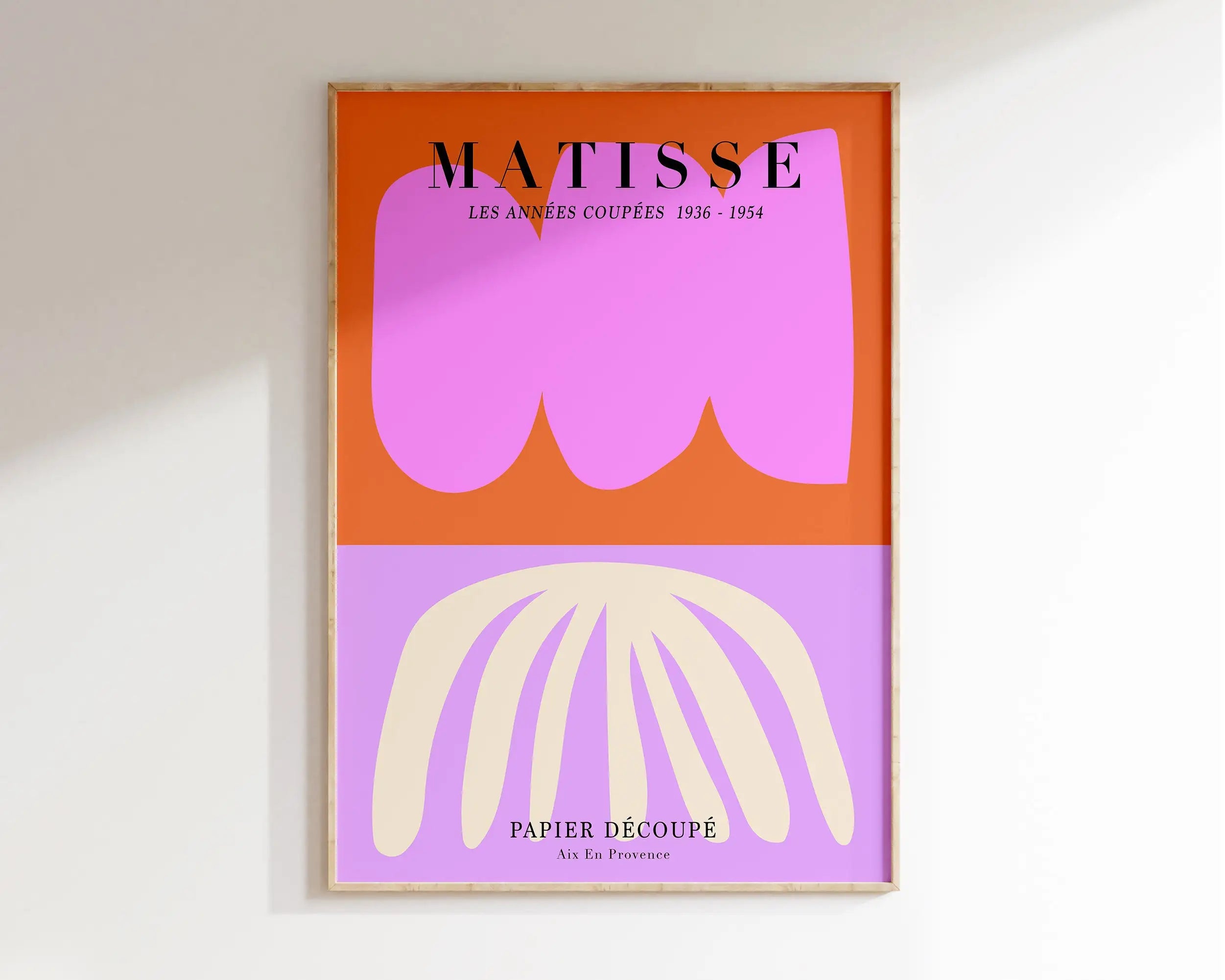 DecorBites™ Matisse Floral Art Prints - Botanical Collection