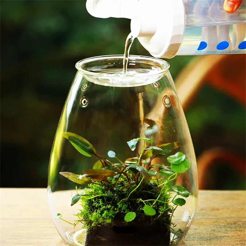 DecorBites™ Mini Glass Terrarium for Succulents and Moss