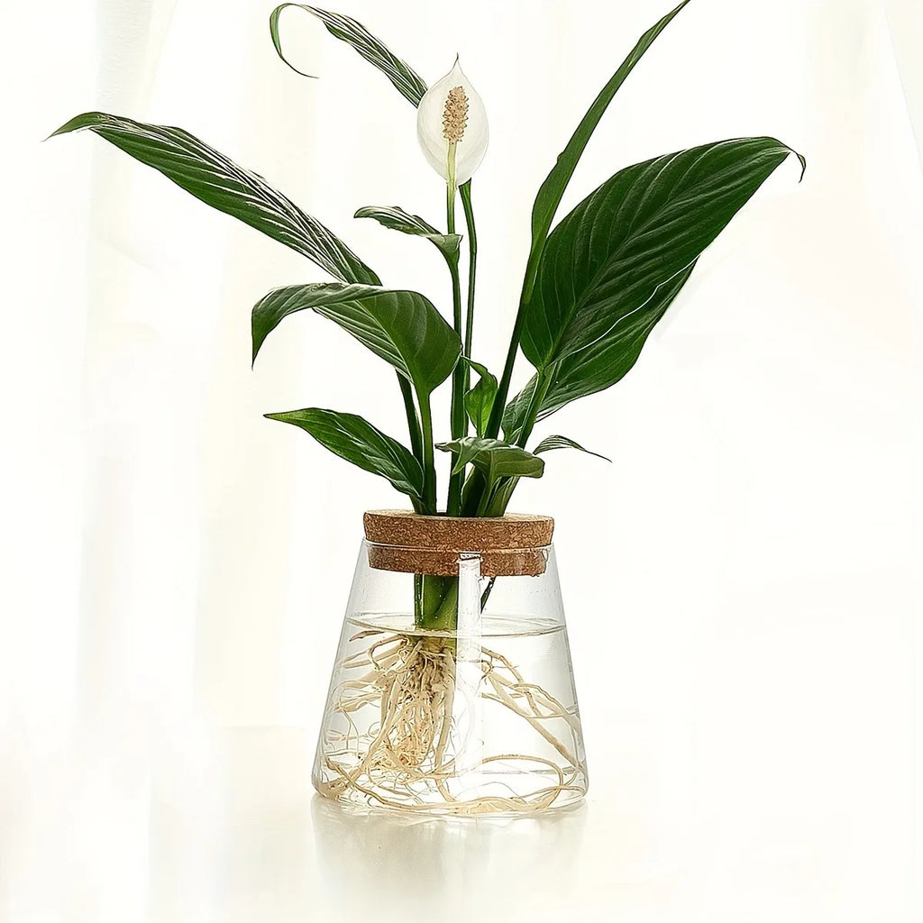DecorBites™ Mini Nordic Glass Hydroponic Planter Tray