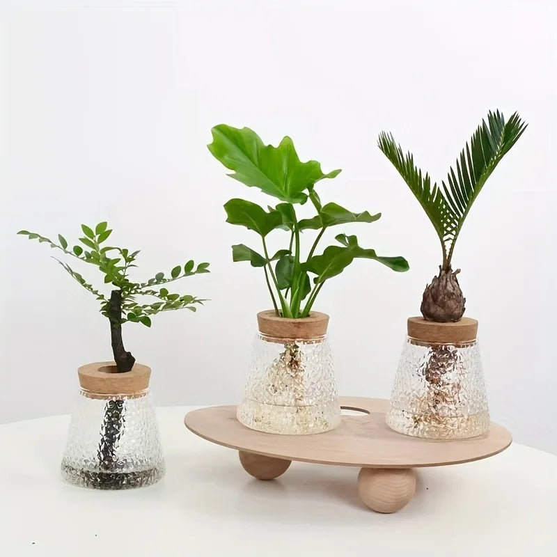 DecorBites™ Mini Nordic Glass Hydroponic Planter Tray