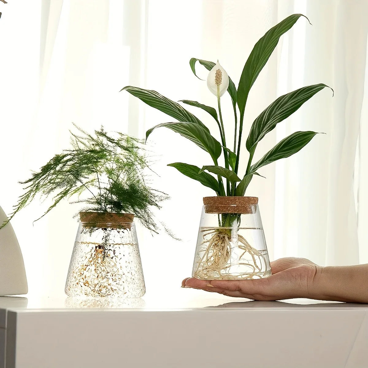 DecorBites™ Mini Nordic Glass Hydroponic Planter Tray