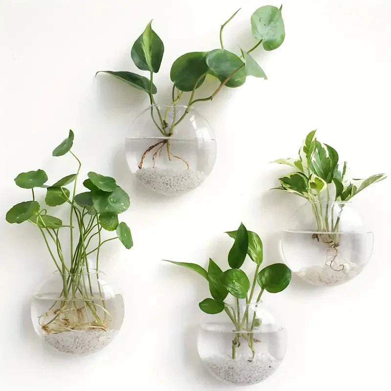 DecorBites™ Modern Hanging Glass Vase for Home Decor