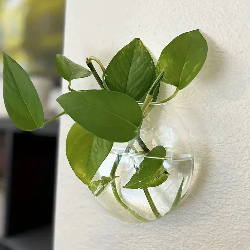 DecorBites™ Modern Hanging Glass Vase for Home Decor