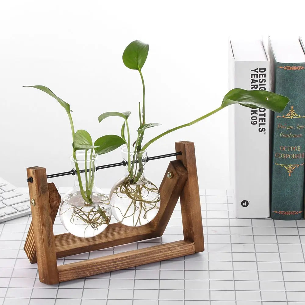 DecorBites™ Modern Wooden Frame Glass Vase Terrarium