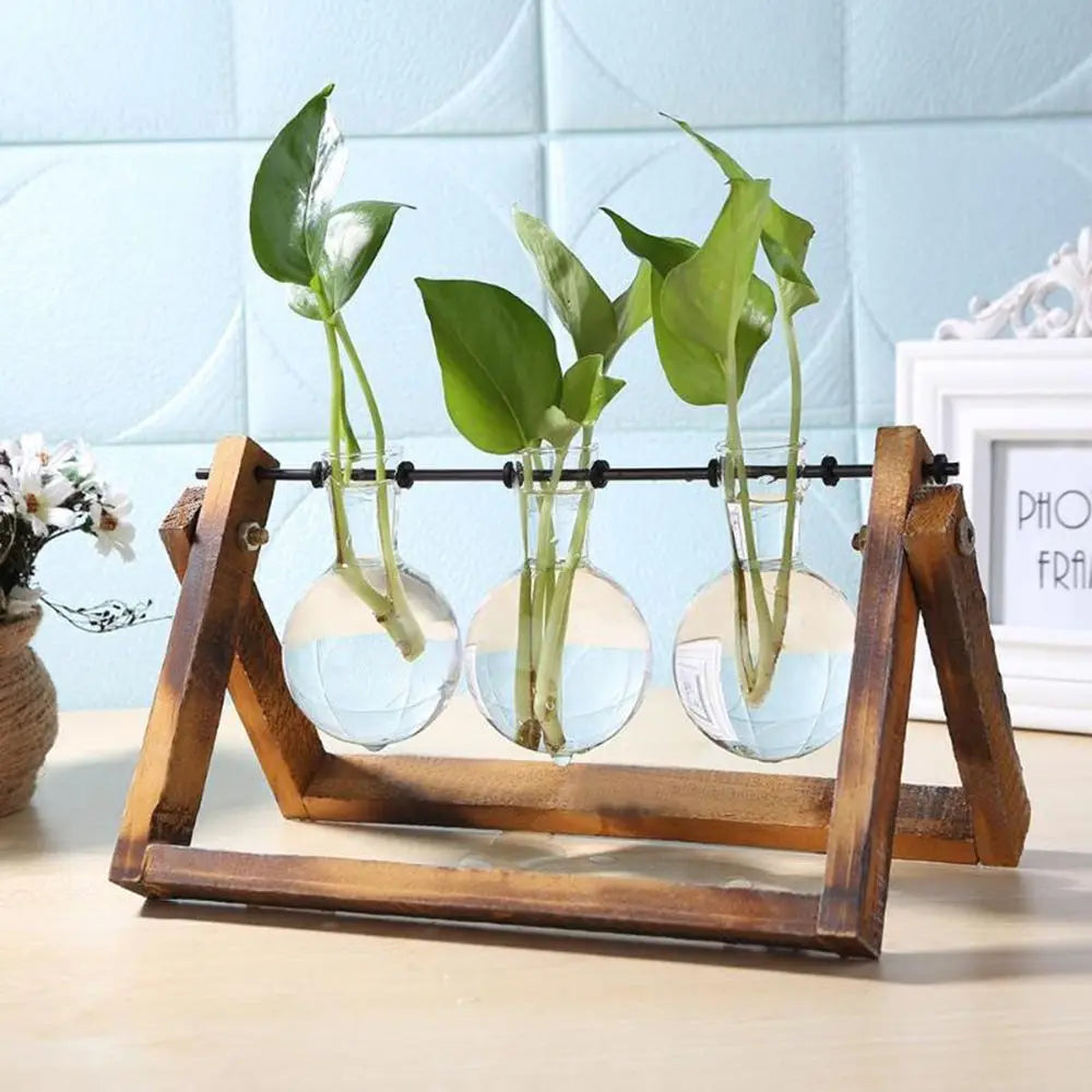 DecorBites™ Modern Wooden Frame Glass Vase Terrarium