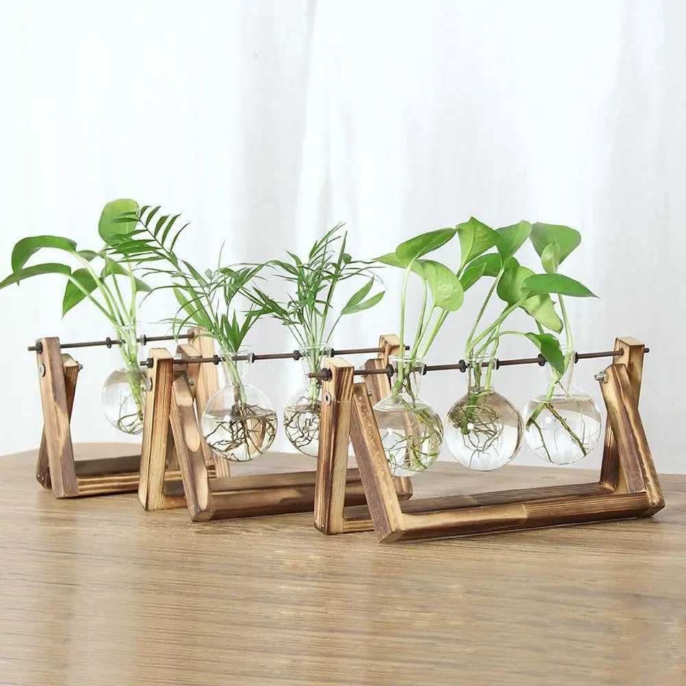 DecorBites™ Modern Wooden Frame Glass Vase Terrarium