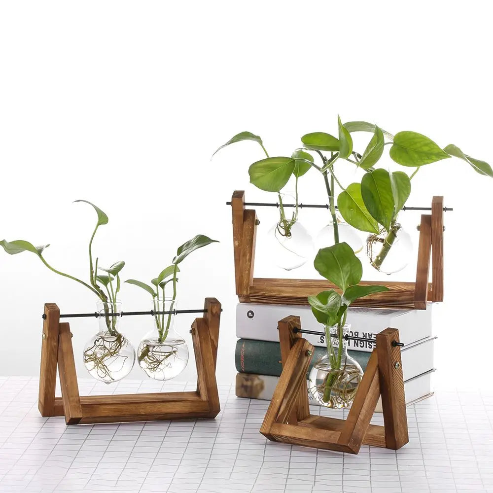 DecorBites™ Modern Wooden Frame Glass Vase Terrarium