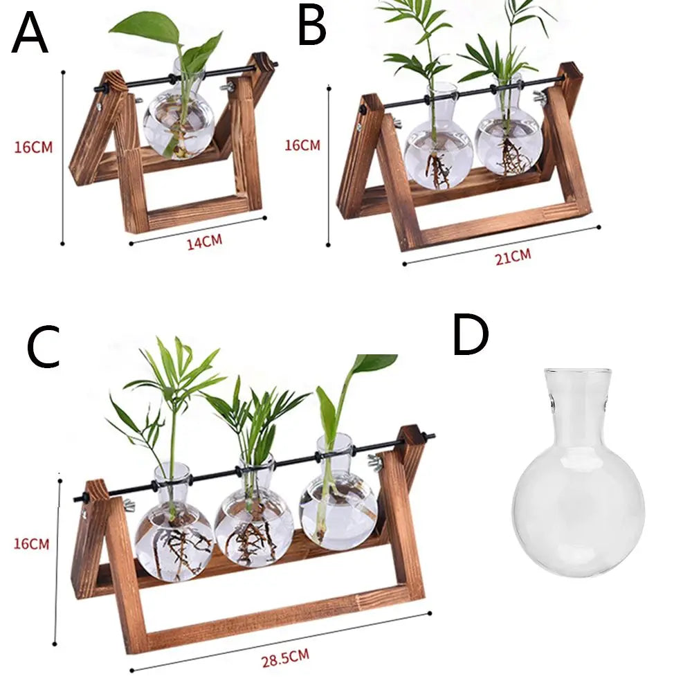 DecorBites™ Modern Wooden Frame Glass Vase Terrarium