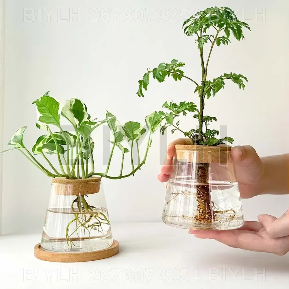 DecorBites™ Small Transparent Glass Vase for Home Decor