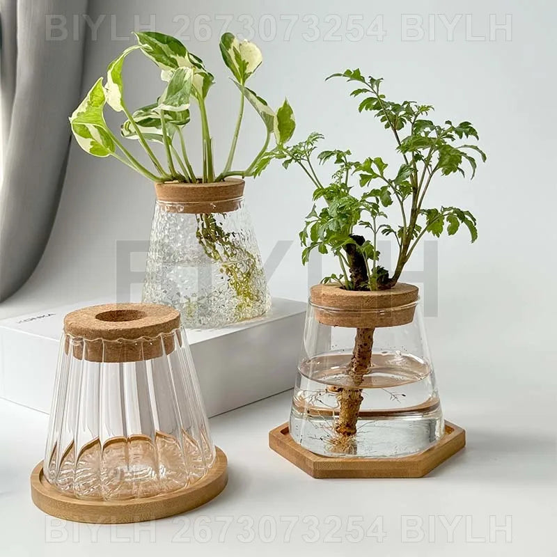 DecorBites™ Small Transparent Glass Vase for Home Decor