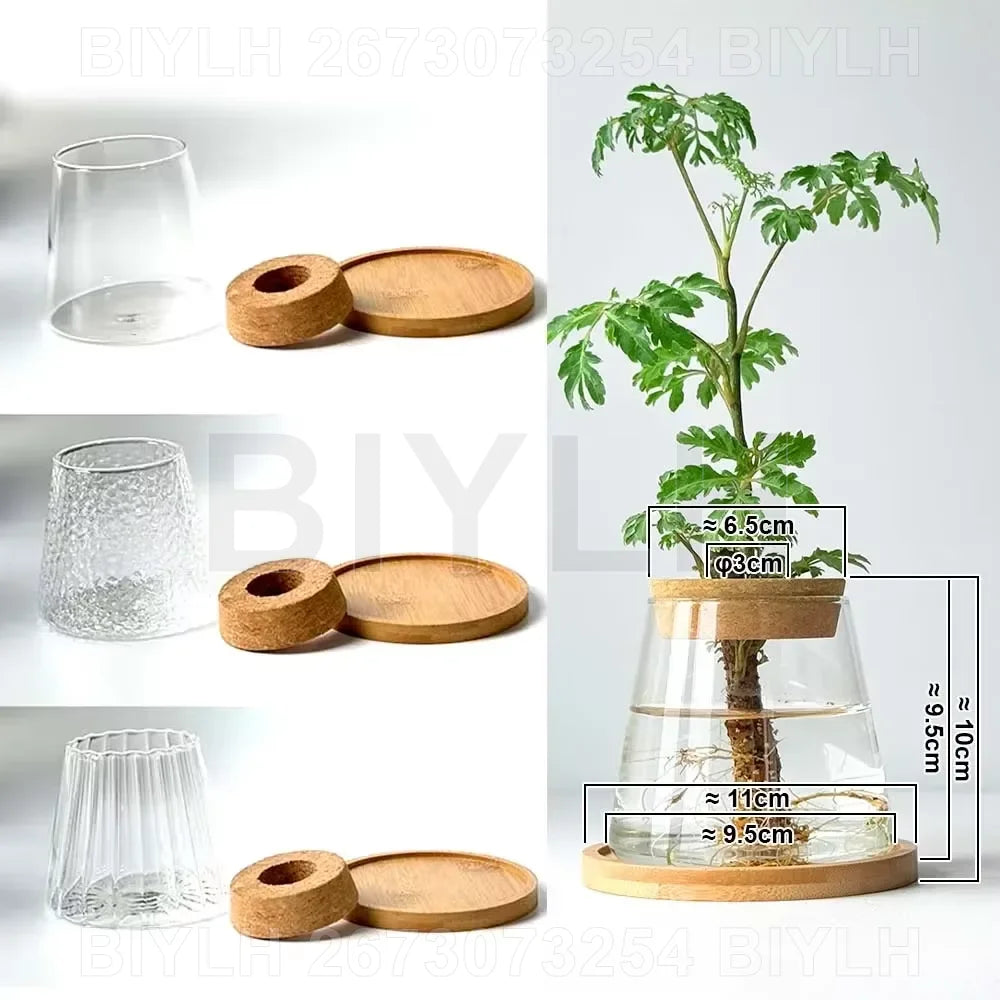 DecorBites™ Small Transparent Glass Vase for Home Decor
