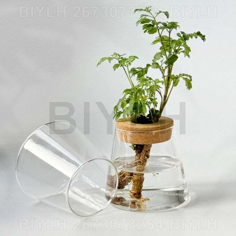 DecorBites™ Small Transparent Glass Vase for Home Decor
