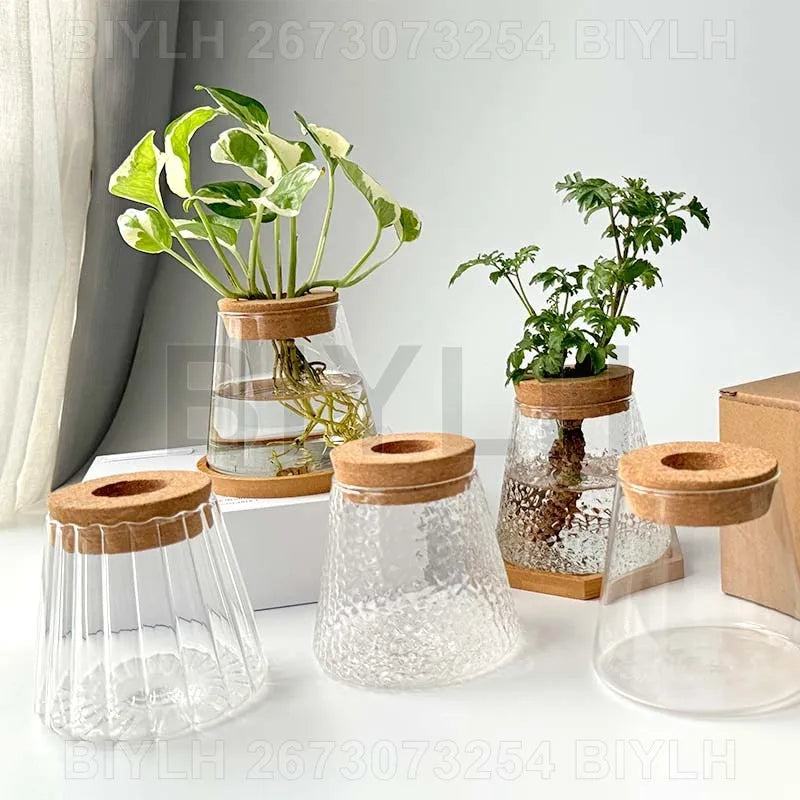 DecorBites™ Small Transparent Glass Vase for Home Decor