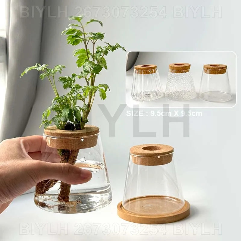 DecorBites™ Small Transparent Glass Vase for Home Decor