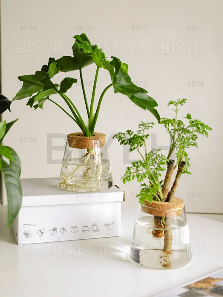 DecorBites™ Small Transparent Glass Vase for Home Decor