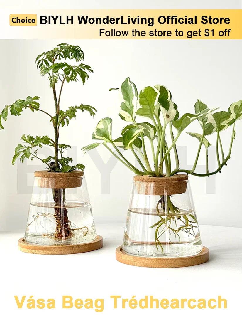 DecorBites™ Small Transparent Glass Vase for Home Decor